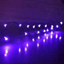 Multi-Function Purple Micro String Lights w/ Timer - 10 ft. GC2280330