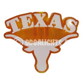 Texas College Logo