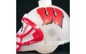 Wisconsin Badgers NCAA College