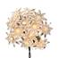 Holiday Flower Clear Lights - 20 Lights UL4335