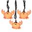 Crab Lights - 10 Lights UL4376